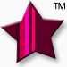 Keyring Store Logo Star TM